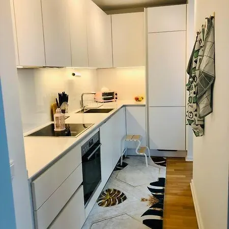 Lux 2bd W/ Rooftop Terrace And Rhine Views! Apartment