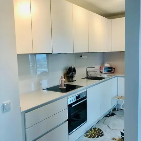 Apartment Lux 2bd W/ Rooftop Terrace And Rhine Views! *