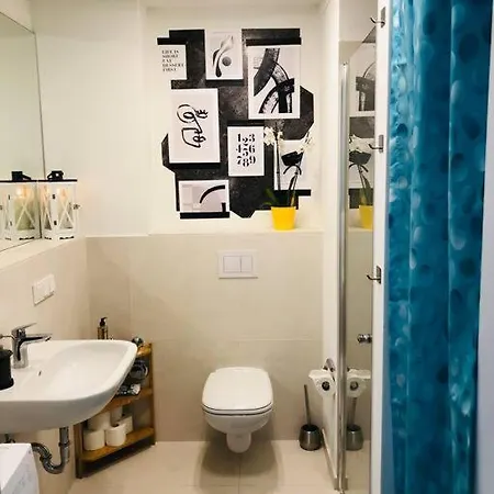 Lux 2bd W/ Rooftop Terrace And Rhine Views! Apartment